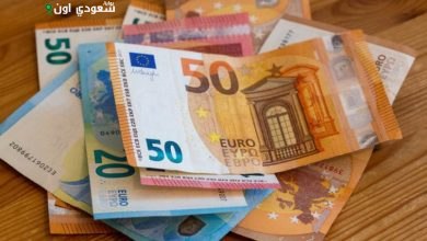 سعر اليورو