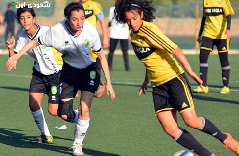 الدوري الممتاز للكرة النسائية