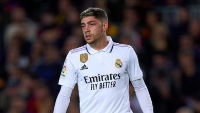 فيدي فالفيردي