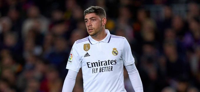 فيدي فالفيردي