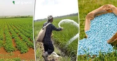 قطاع الأسمدة في مصر