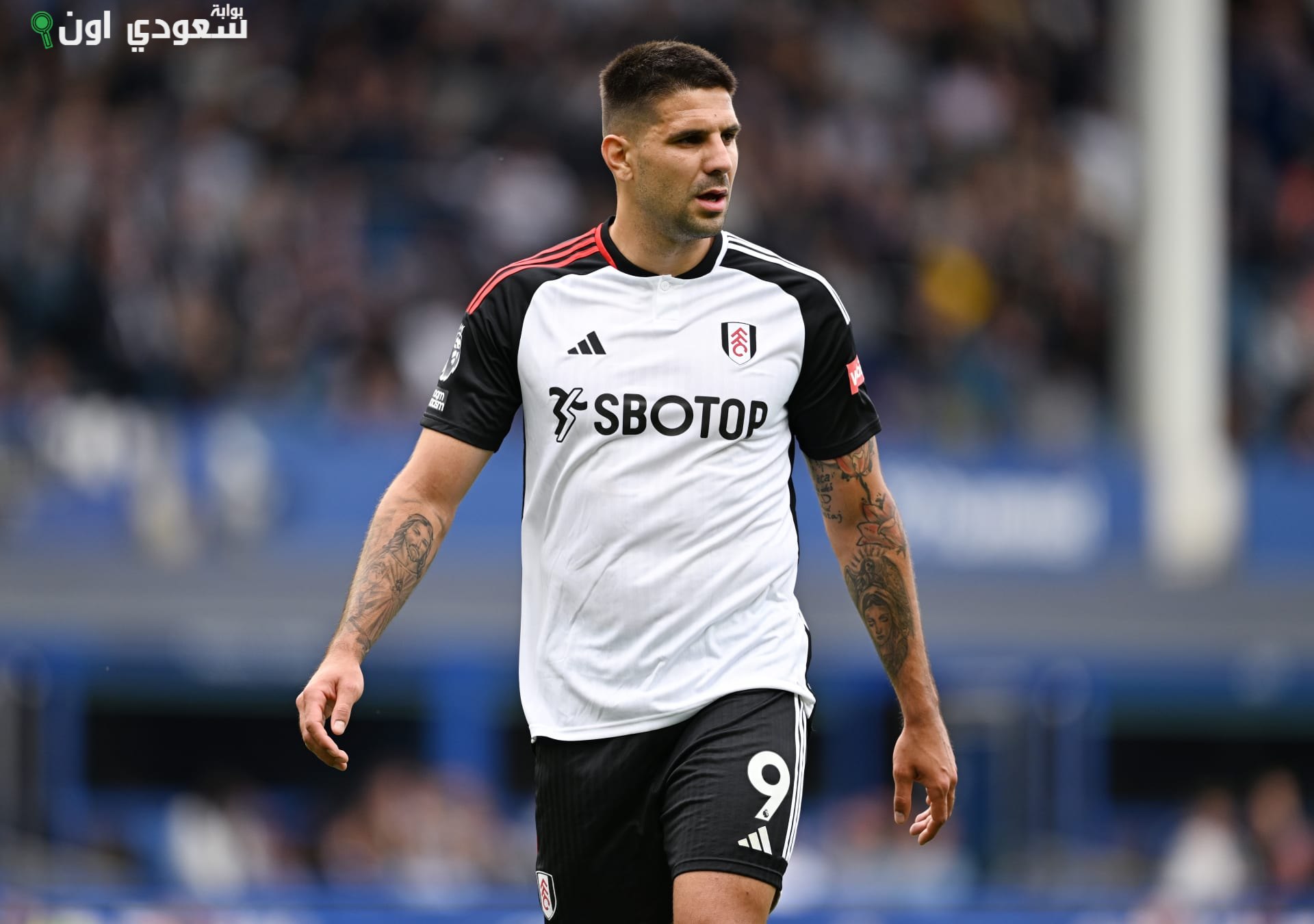 ألكسندر ميتروفيتش