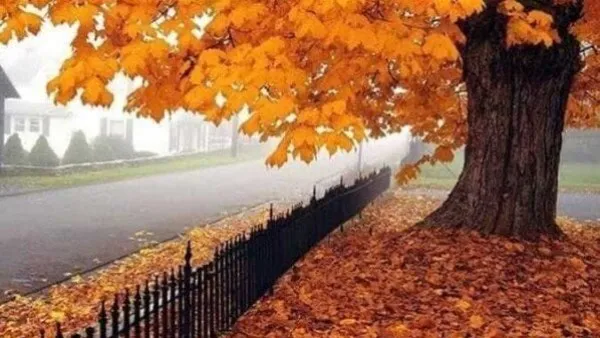 الاعتدال الخريفي يعلن نهاية الصيف وبداية فصل جديد غداً