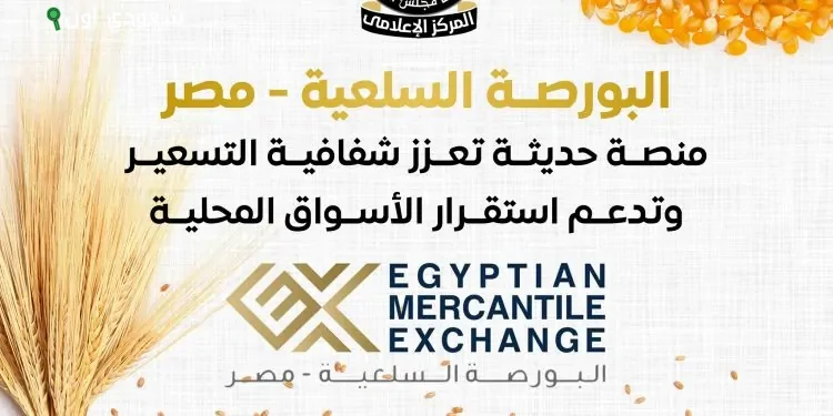 البورصة السلعية المصرية