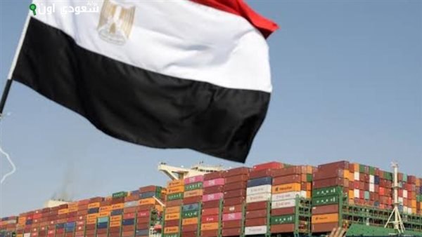 63% نمو صادرات الصناعات الغذائية المصرية إلى تركيا بالنصف الأول من 2025