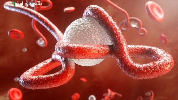 فيروس إيبولا في كاساي