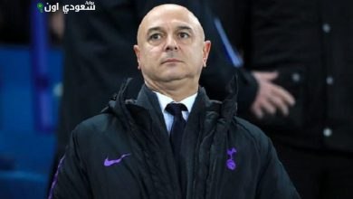 دانييل ليفي