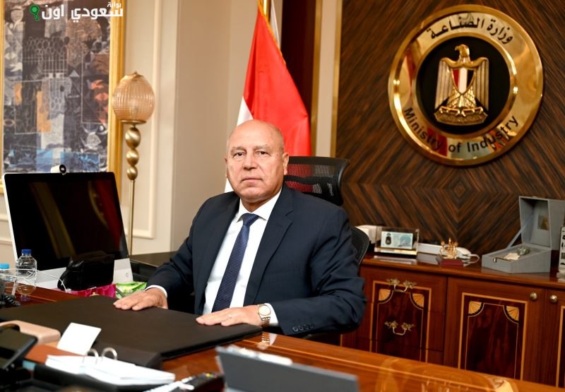 نائب رئيس مجلس الوزراء للتنمية الصناعية