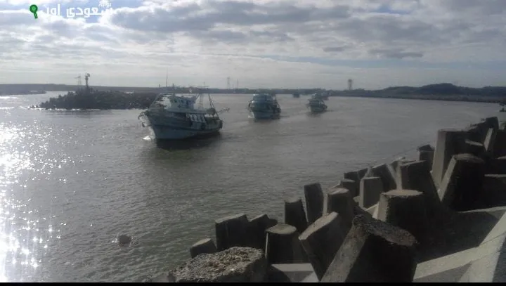 طقس معتدل في كفر الشيخ واستقرار بحركة الصيد بالمتوسط والبرلس