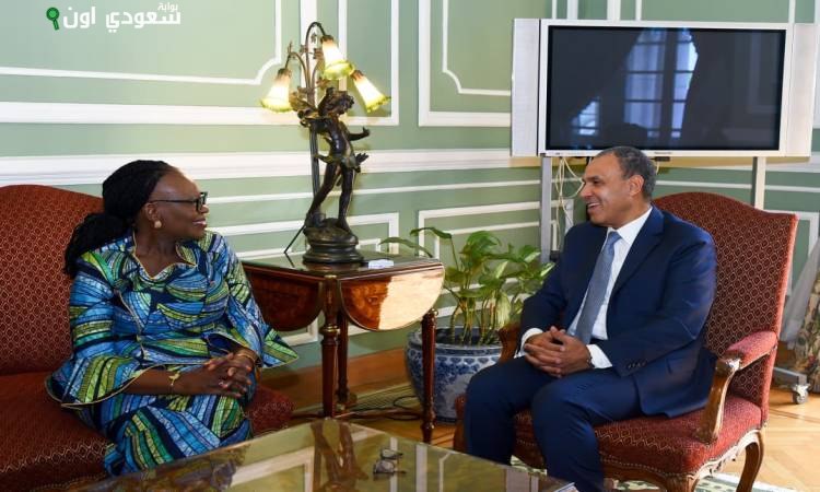 بدر عبد العاطي