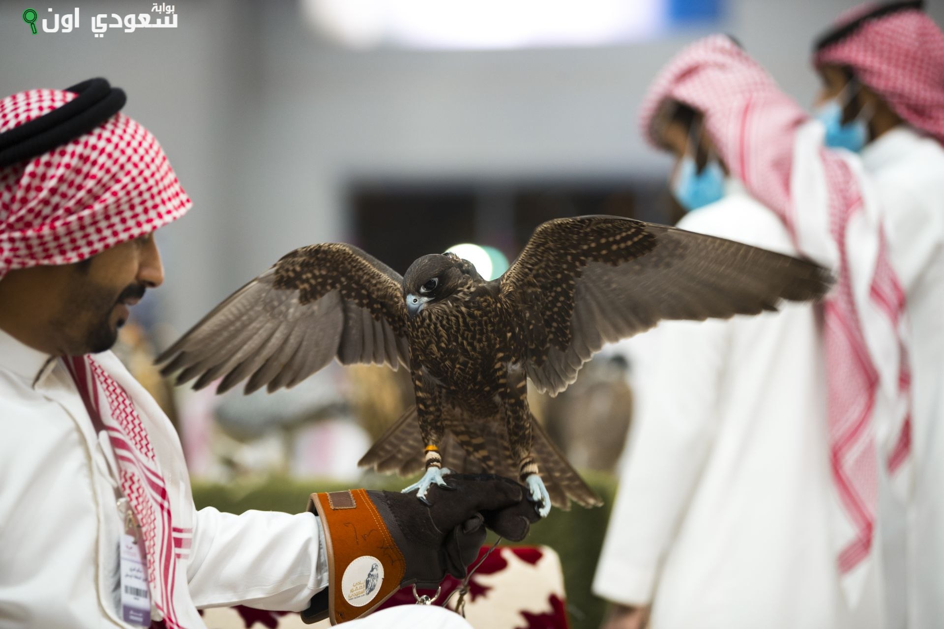 معرض الصقور والصيد السعودي الدولي