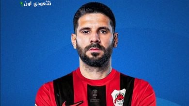 ألكسندر ميتروفيتش