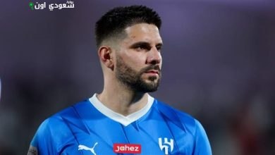 ألكسندر ميتروفيتش