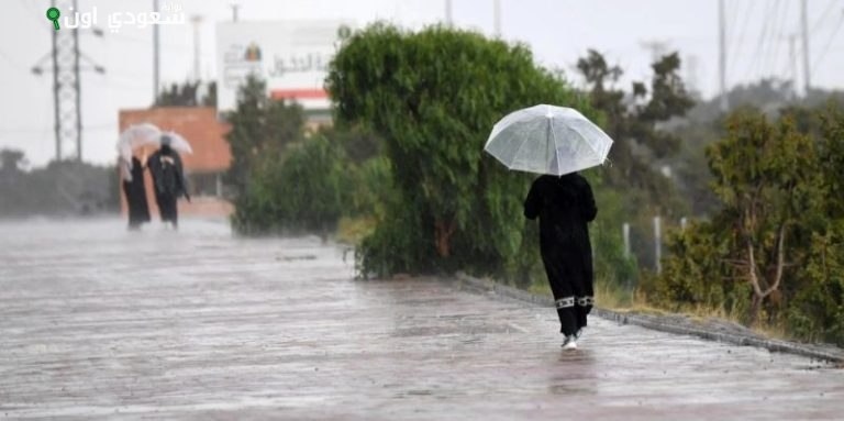 الأرصاد تنبّه من أمطار غزيرة ورياح شديدة على منطقة جازان
