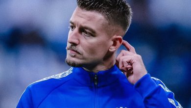 سيرجي ميلينكوفيتش سافيتش،