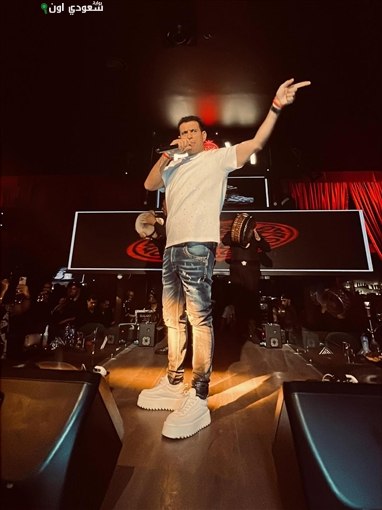 محمود الليثي