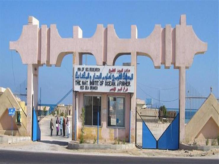 المعهد القومي لعلوم البحار