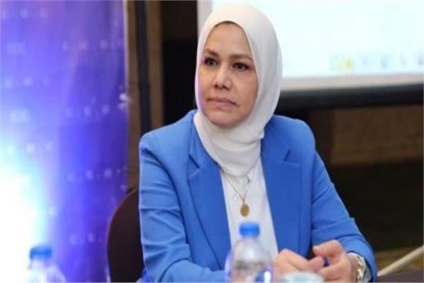 رشا عبد العال، رئيس مصلحة الضرائب المصرية