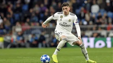 فيدي فالفيردي