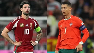 مباراة البرتغال ضد أيرلندا