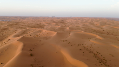 صحراء المملكة العربية السعودية