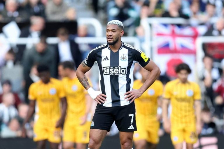 برايتون يتفوق على نيوكاسل