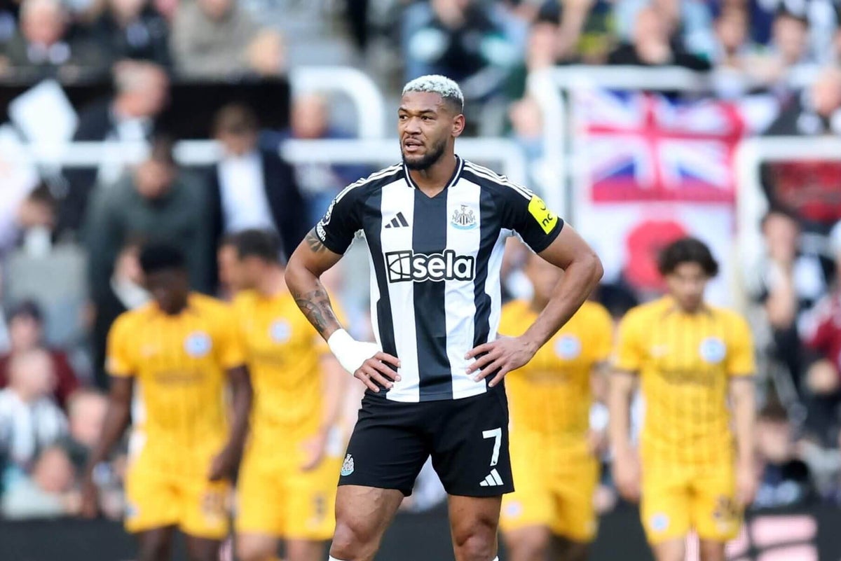 برايتون يتفوق على نيوكاسل