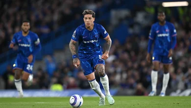 انزو فيرنانديز