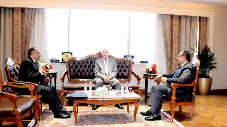 وزير قطاع الأعمال العام