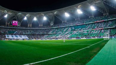 جماهير السعودية