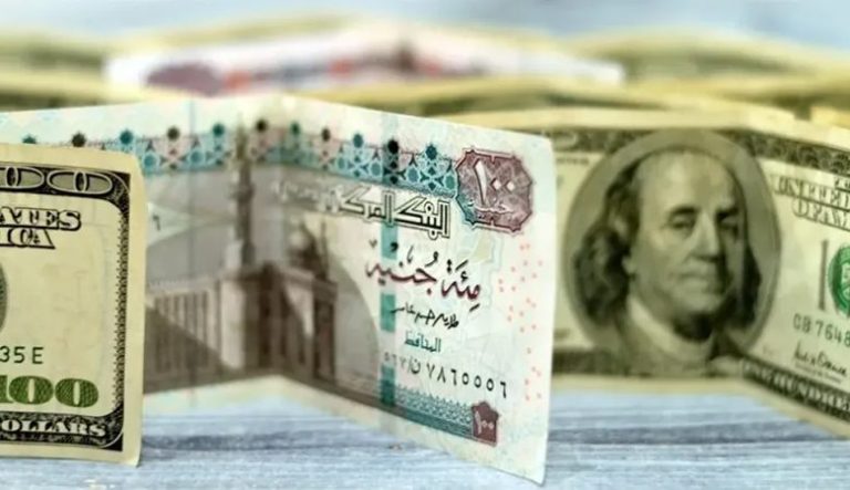 استقرار سعر الدولار أمام الجنيه