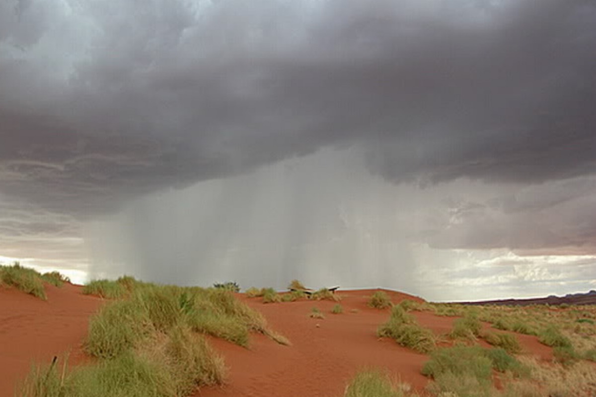 انطلاق موسم الوسم اليوم في الجزيرة العربية ولمدة 52 يومًا