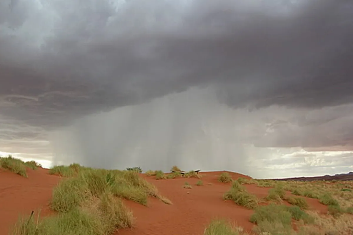 انطلاق موسم الوسم اليوم في الجزيرة العربية ولمدة 52 يومًا