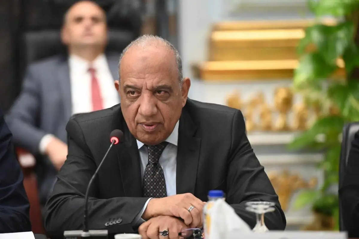 مصر تبدأ تنفيذ مشروع صناعي لاستغلال المواد الخام الوطنية في إنتاج الأسمدة والعناصر النادرة الدكتور محمود عصمت