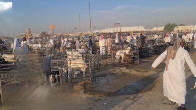 تثبيت آخر قيمة إيجارية كحد أعلى في جميع المدن.. والرياض يُتاح فيها الخفض فقط