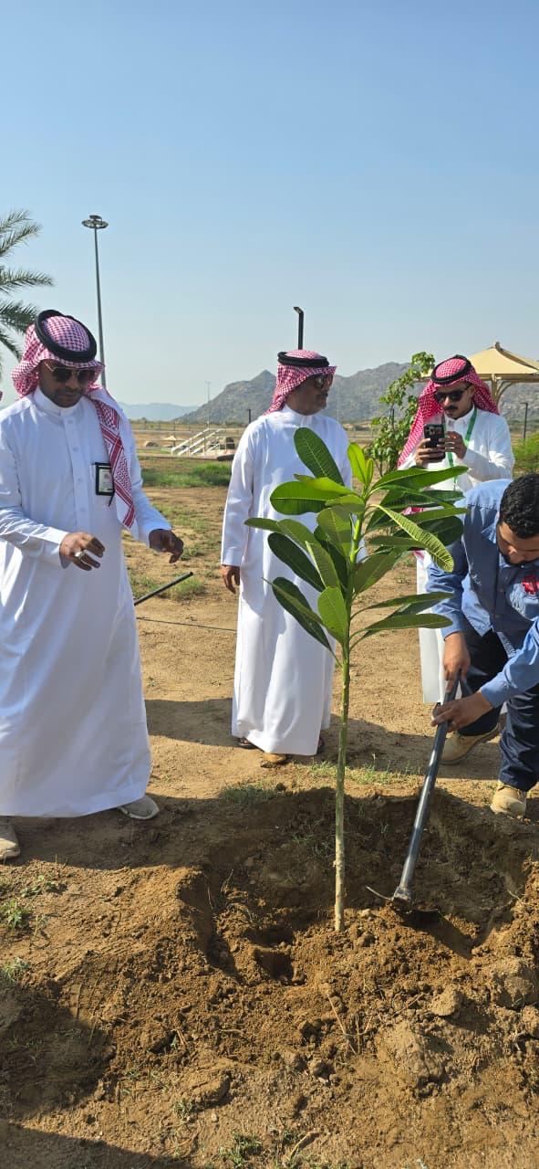 تشجير 3,000 شجرة في العرضيات ضمن مبادرة بيئية لتعزيز الغطاء النباتي
