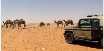 ضبط مخالفات بيئية في محميتين ملكيتين وتطبيق غرامات على المخالفين