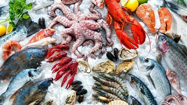 أسعار الأسماك في أسواق اليوم الأحد 4 يناير 2026 تتصدر المشهد.. ما هو سعر البلطي؟