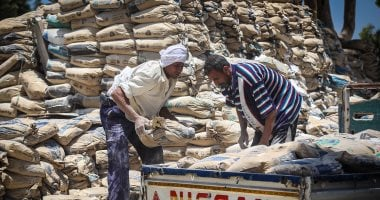 أسعار الأسمنت اليوم الأربعاء 7 يناير 2026 تتأرجح بين المصانع والأسواق المحلية