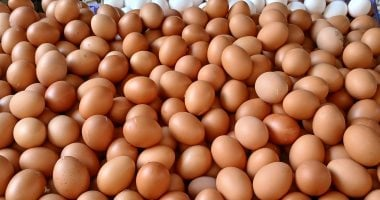 تحديثات جديدة حول سعر كرتونة البيض في أسواق كفر الشيخ يوم الأربعاء 7 يناير 2026