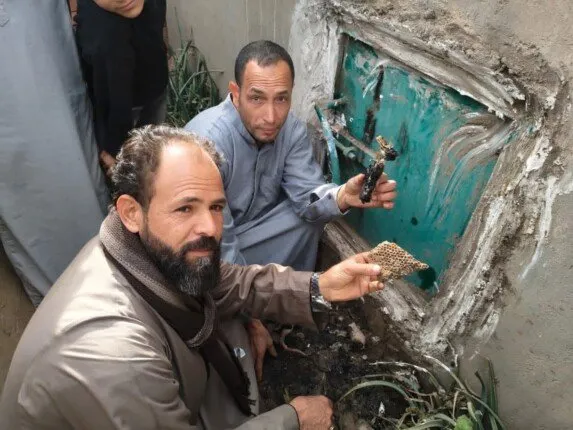 خلايا نحل تعيق إجراءات الدفن وتثير القلق في محافظة المنوفية هذه الأيام