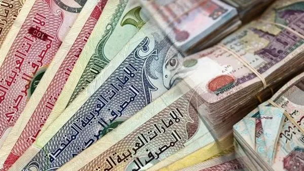 سعر الدرهم الإماراتي مقابل الجنيه المصري يشهد تغييرات مهمة يوم الثلاثاء 6 يناير 2026