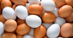 مأكولات شهية ومبتكرة تحتل قائمة أذواق وأطباق المأكولات المحلية والعالمية المتنوعة