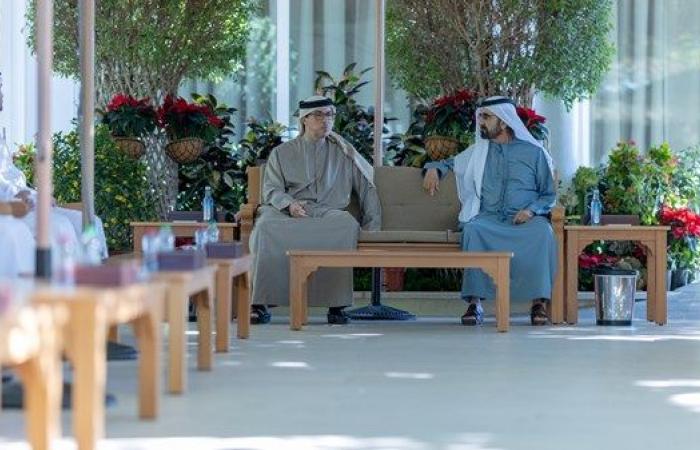 محمد بن راشد ومنصور بن زايد يناقشان مستقبل التنمية المستدامة وتعزيز رفعة الوطن والمواطنين
